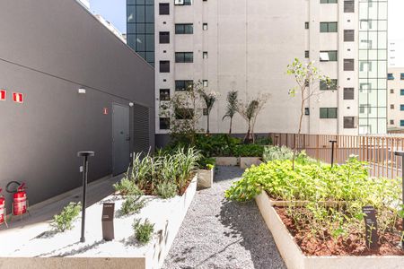 Apartamento para alugar com 60m², 2 quartos e sem vaga Apartamento para alugar com 60m², 2 quartos e sem vagaHorta Comunitária