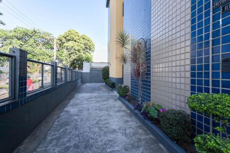Apartamento para alugar com 59m², 3 quartos e 1 vaga Apartamento para alugar com 59m², 3 quartos e 1 vagaEntrada