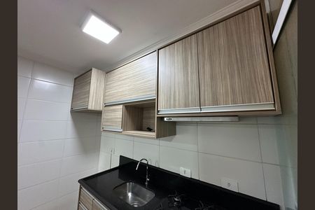 Apartamento para alugar com 46m², 2 quartos e 1 vagaCozinha - Armários