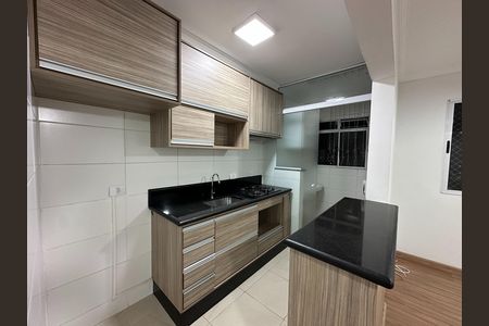 Apartamento para alugar com 46m², 2 quartos e 1 vagaCozinha