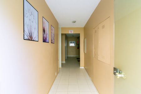 Apartamento à venda com 57m², 3 quartos e 1 vaga Apartamento à venda com 57m², 3 quartos e 1 vagaÁrea comum