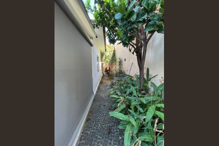 Casa para alugar com 138m², 2 quartos e 2 vagas Casa para alugar com 138m², 2 quartos e 2 vagasÁrea comum