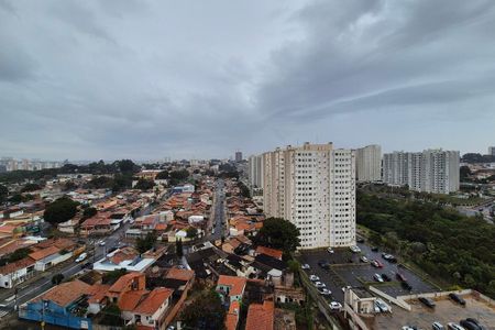 Vista da Área de serviço  de apartamento para alugar com 2 quartos, 48m² em Vila Satúrnia, Campinas