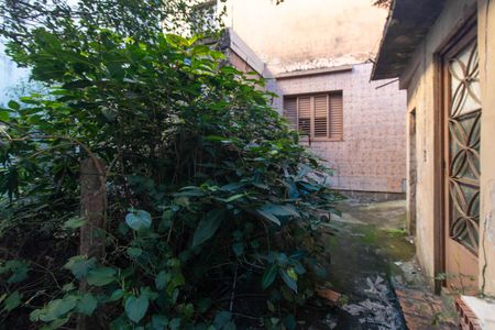 Quintal de casa à venda com 2 quartos, 133m² em Tristeza, Porto Alegre