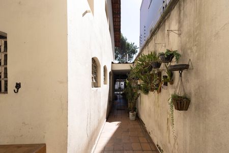 Casa à venda com 60m², 4 quartos e 2 vagas Casa à venda com 60m², 4 quartos e 2 vagasQuintal