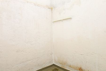 Casa para alugar com 30m², 1 quarto e 1 vagaQuintal