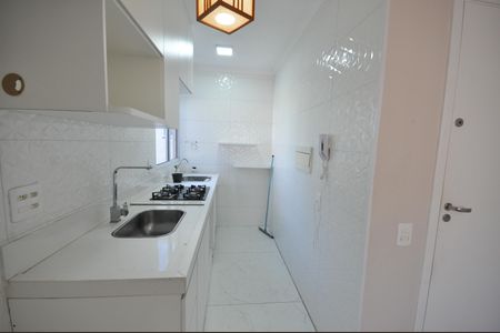 Cozinha de apartamento para alugar com 2 quartos, 38m² em Jardim Recanto Verde, São Paulo
