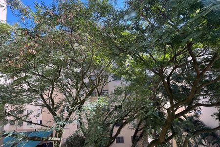 Apartamento para alugar com 53m², 2 quartos e 1 vaga Apartamento para alugar com 53m², 2 quartos e 1 vagaVista - Sala