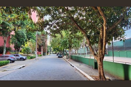 Apartamento à venda com 3 quartos, 95m² em Casa Verde, São Paulo