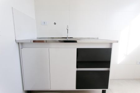 Apartamento para alugar com 47m², 2 quartos e 1 vagaCozinha - Armário