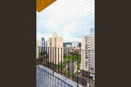 Apartamento para alugar com 2 quartos, 55m² em Jardim Umarizal, São Paulo