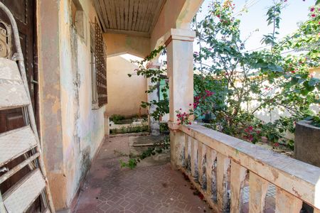 Casa para alugar com 270m², 3 quartos e 1 vaga Casa para alugar com 270m², 3 quartos e 1 vagaQuintal