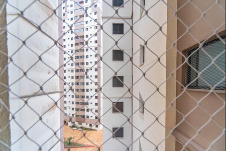 Apartamento para alugar com 75m², 3 quartos e 1 vaga Apartamento para alugar com 75m², 3 quartos e 1 vagaVista do Quarto 1