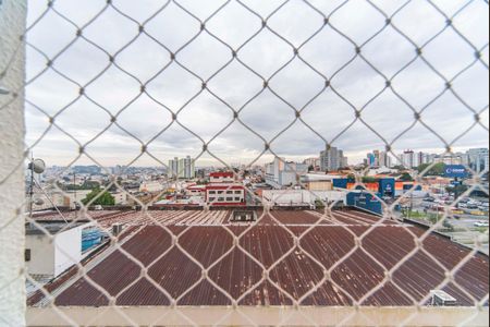 Apartamento para alugar com 75m², 3 quartos e 1 vaga Apartamento para alugar com 75m², 3 quartos e 1 vagaVista do Quarto 3