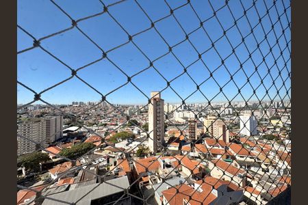 Vista da Área de serviço  de apartamento para alugar com 3 quartos, 103m² em Vila Albertina, São Paulo