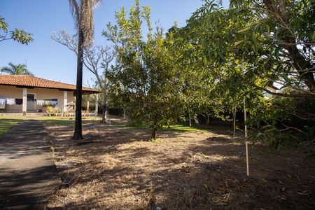 Casa de condomínio para alugar com 450m², 3 quartos e 4 vagas Casa de condomínio para alugar com 450m², 3 quartos e 4 vagasQuintal