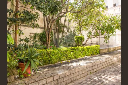 Apartamento à venda com 3 quartos, 78m² em Vila da Saúde, São Paulo