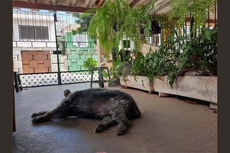 Casa à venda com 2 quartos, 150m² em Mandaqui, São Paulo
