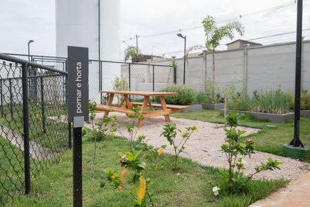 Área Comum - Horta de apartamento para alugar com 2 quartos, 59m² em Jardim Rosolem, Hortolândia
