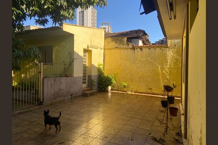 Casa à venda com 500m², 3 quartos e 3 vagas Casa à venda com 500m², 3 quartos e 3 vagasÁrea externa