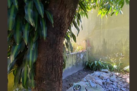Casa à venda com 500m², 3 quartos e 3 vagas Casa à venda com 500m², 3 quartos e 3 vagasÁrea externa