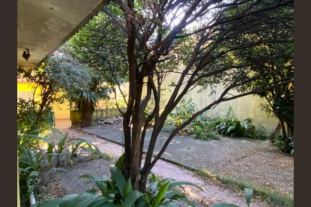 Casa à venda com 500m², 3 quartos e 3 vagas Casa à venda com 500m², 3 quartos e 3 vagasÁrea externa - Jardim