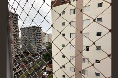 Apartamento para alugar com 50m², 2 quartos e 1 vagaVista do Quarto 2