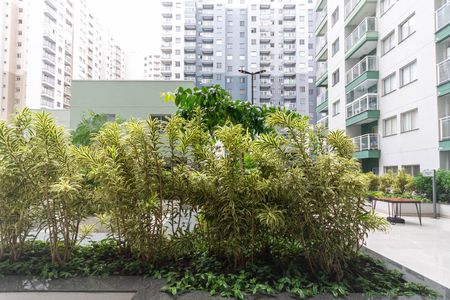 Varanda de apartamento para alugar com 1 quarto, 43m² em Santo Cristo, Rio de Janeiro