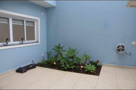Casa para alugar com 234m², 3 quartos e 3 vagasFoto 02
