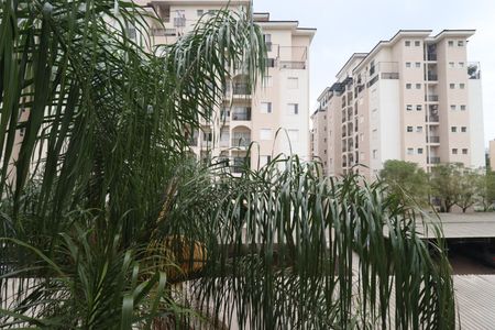 Apartamento para alugar com 50m², 2 quartos e 1 vagaVista