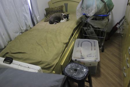 Apartamento à venda com 50m², 2 quartos e 1 vagaQuarto 2