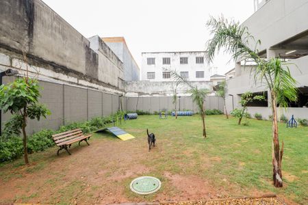 Apartamento à venda com 36m², 2 quartos e sem vaga Apartamento à venda com 36m², 2 quartos e sem vagapetplace