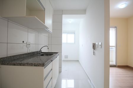 Apartamento para alugar com 46m², 2 quartos e 1 vagaCozinha - Armários
