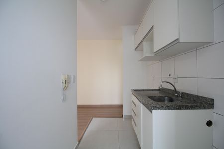 Apartamento para alugar com 46m², 2 quartos e 1 vagaCozinha - Armários