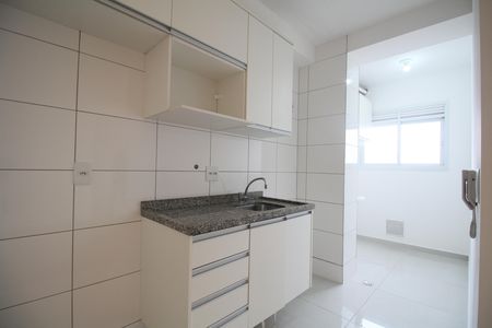 Apartamento para alugar com 46m², 2 quartos e 1 vagaCozinha - Armários
