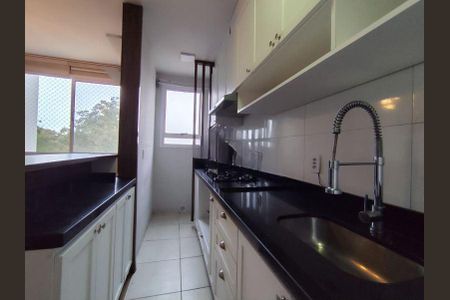 Cozinha de casa para alugar com 2 quartos, 60m² em Bela Vista, São José