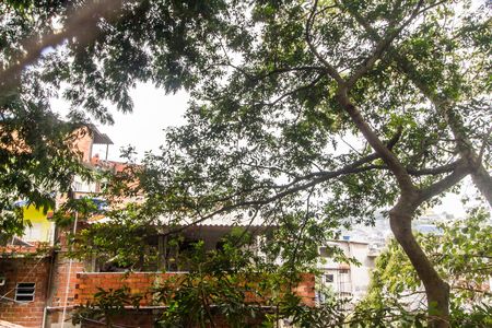 Apartamento para alugar com 47m², 2 quartos e 1 vagaVista do Quarto 1