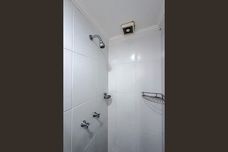 Banheiro de apartamento para alugar com 2 quartos, 60m² em Cambuci, São Paulo