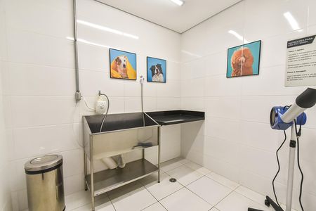 Apartamento para alugar com 31m², 1 quarto e sem vagaPet Wash