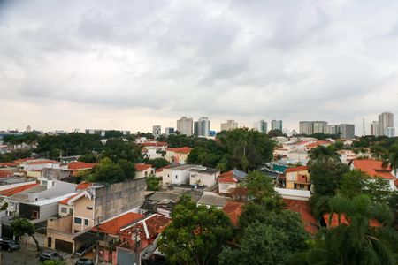 Apartamento para alugar com 2 quartos, 61m² em Vila Congonhas, São Paulo