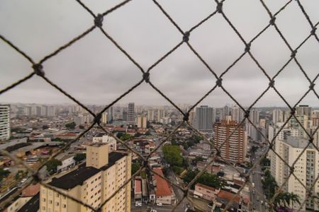 Apartamento à venda com 3 quartos, 81m² em Vila Mascote, São Paulo