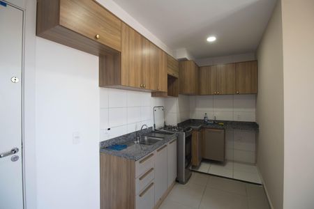Apartamento para alugar com 36m², 2 quartos e 1 vagaCozinha - Armários