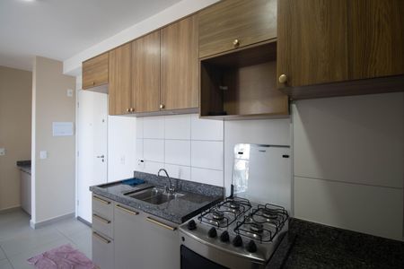 Apartamento para alugar com 36m², 2 quartos e 1 vagaCozinha - Armários