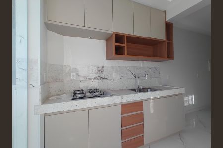Cozinha de apartamento para alugar com 2 quartos, 56m² em Tubalina, Uberlândia