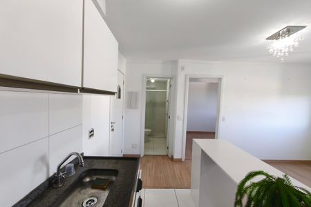 Cozinha de apartamento para alugar com 2 quartos, 40m² em Jardim Ipaussurama, Campinas