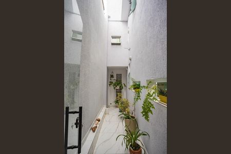Área aberta  de casa para alugar com 2 quartos, 250m² em Taboão, Diadema