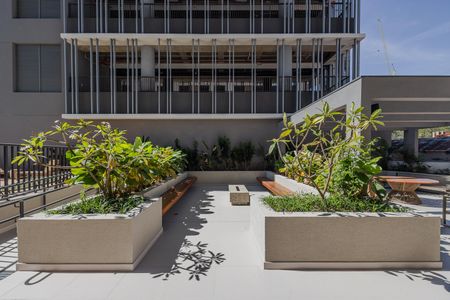 Studio para alugar com 25m², 1 quarto e sem vagaTerraço