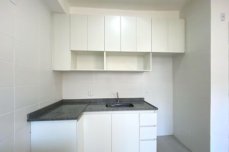 Cozinha de apartamento para alugar com 2 quartos, 55m² em Palmeiras, Belo Horizonte