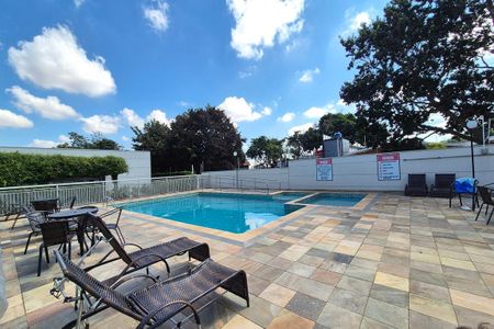 Área comum - Piscina de apartamento à venda com 2 quartos, 52m² em Jardim Nova Europa, Campinas