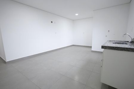 Sala, Cozinha, Quarto de apartamento para alugar com 1 quarto, 48m² em Vila Humaita, Santo André